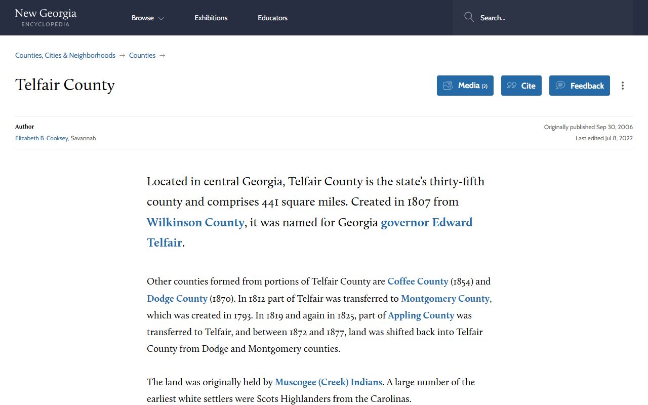 Telfair County Clerk of Superior Court records county history